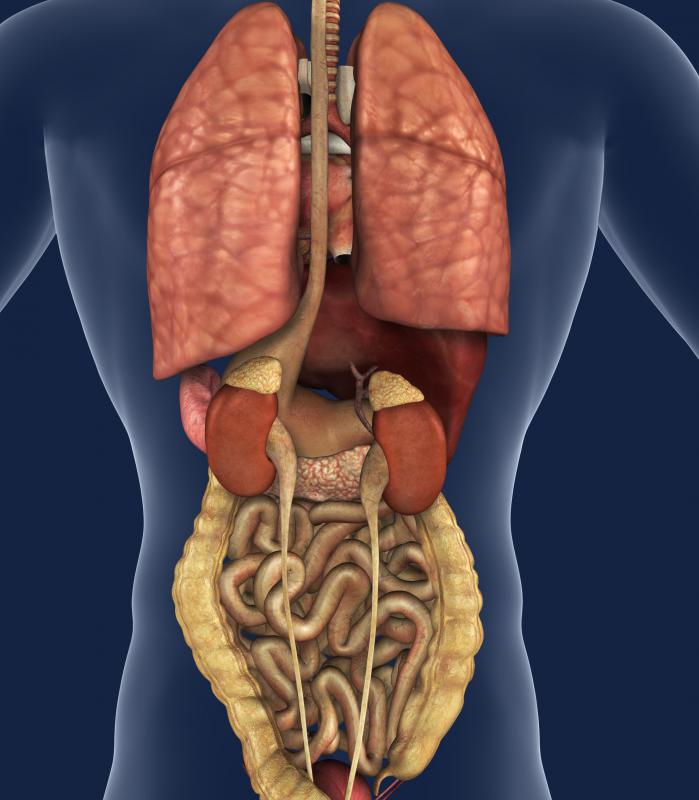 A lung nodule is a mass of tissue located in the lungs.