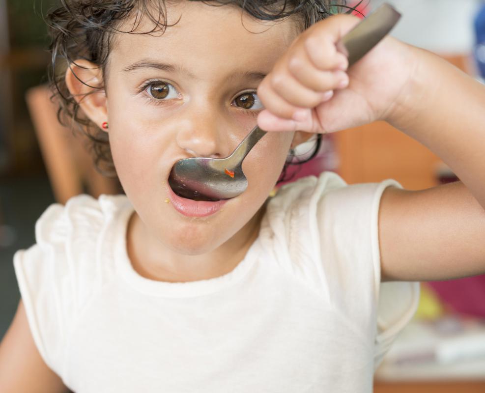 The distal ileum aids in the food breakdown process.