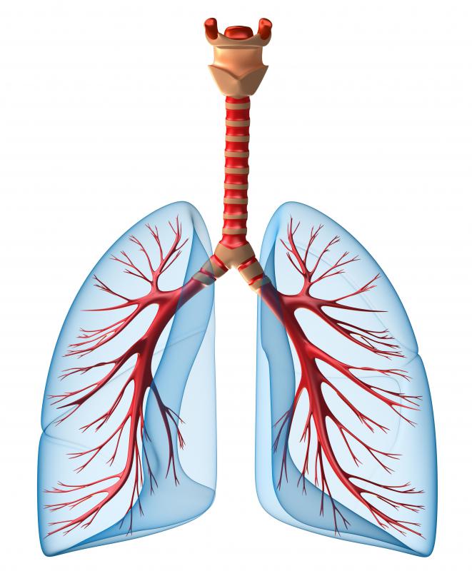 Tidal volume, or the lung's capacity to hold and process air, is measured by doctors trying to study or diagnose respiratory and other health problems.