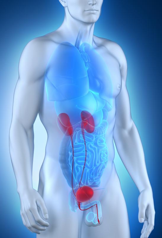 Paraprotein detection may lead to a diagnosis of myelomatosis, which causes a decrease in renal function.