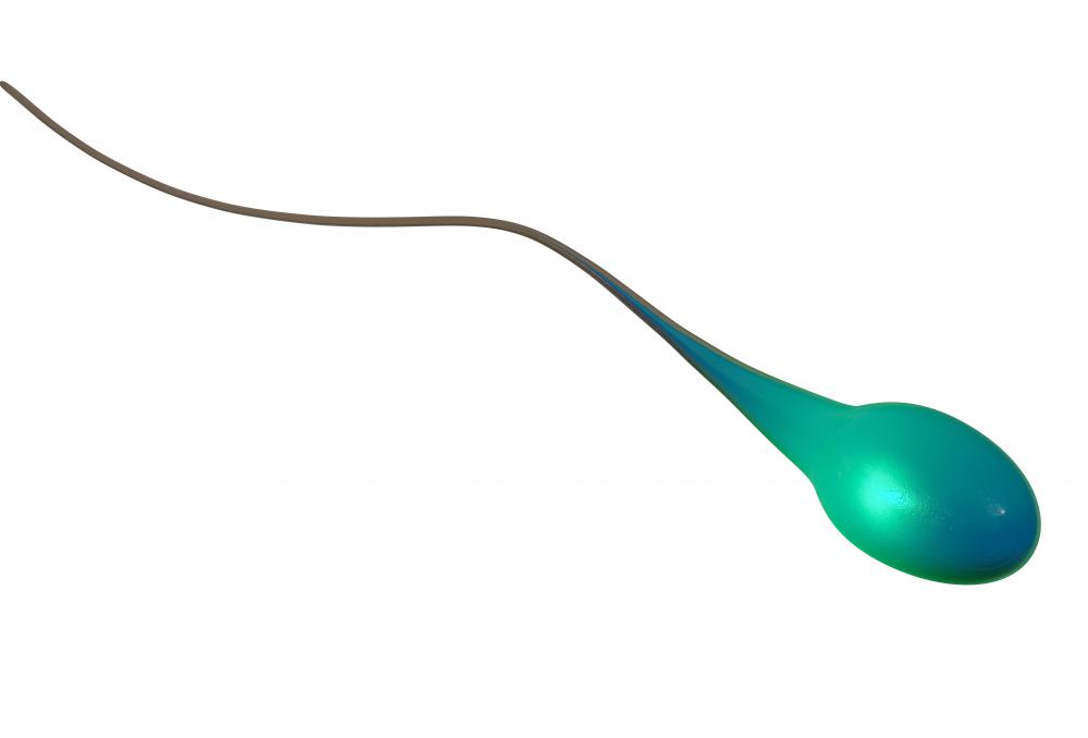 Vitamins B12, C and E promote healthy sperm count.