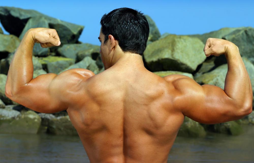 French curls are a way to help someone build muscle mass.