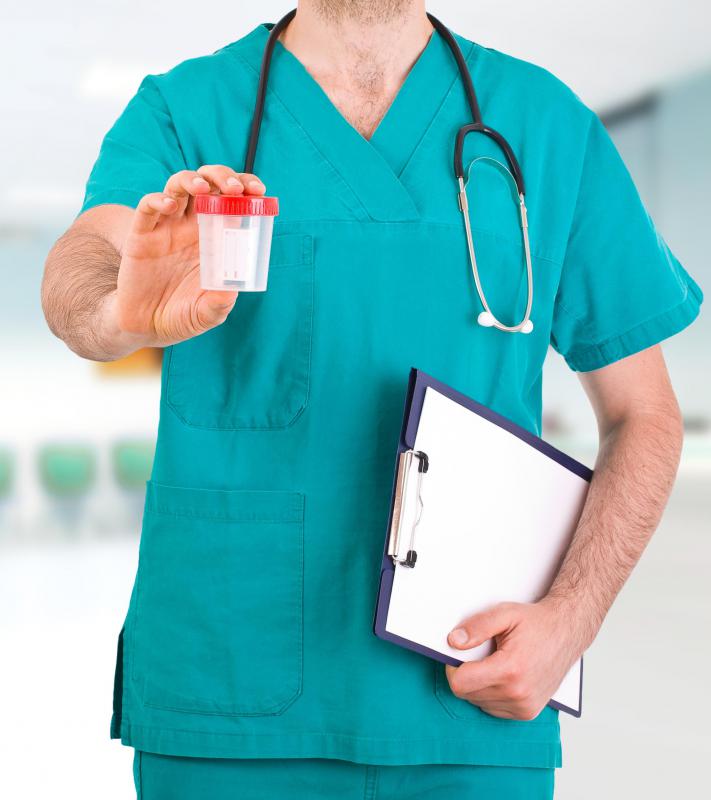 Too much protein leads to higher concentrations of urea in the urine.