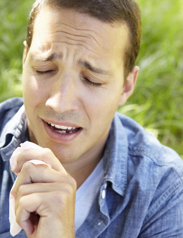 Sneezing is one of the least severe signs of an allergic reaction to mangoes.