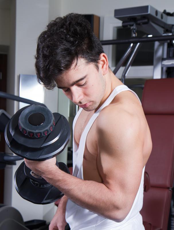 The musculocutaneous nerves are connected to the biceps muscle.