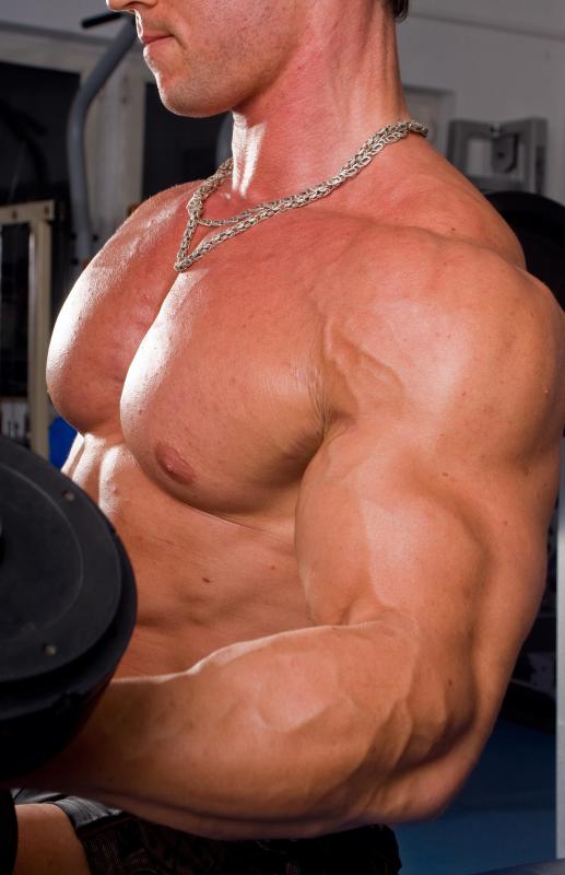 Bodybuilders are sometimes referred to as "muscle men".