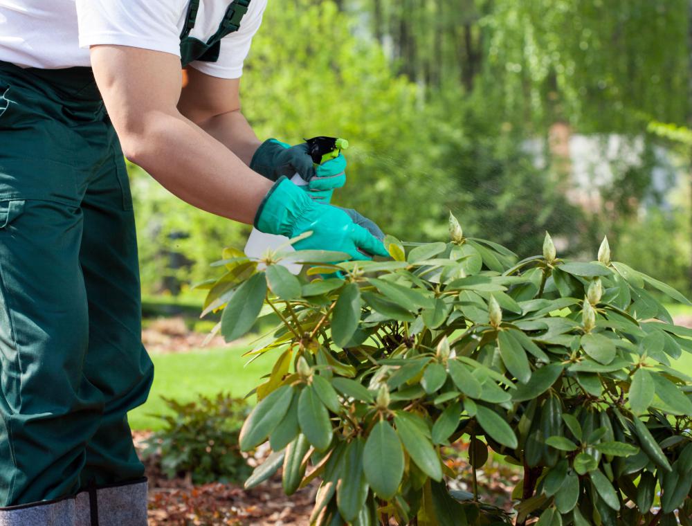Plant toxins may lead to toenail ridges.