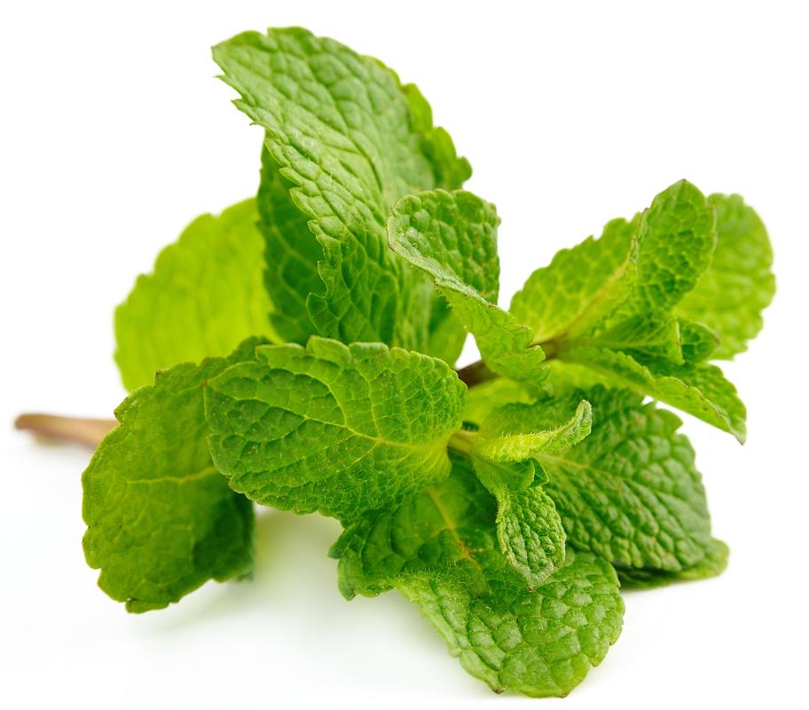 Milk of magnesia is often flavored with mint.