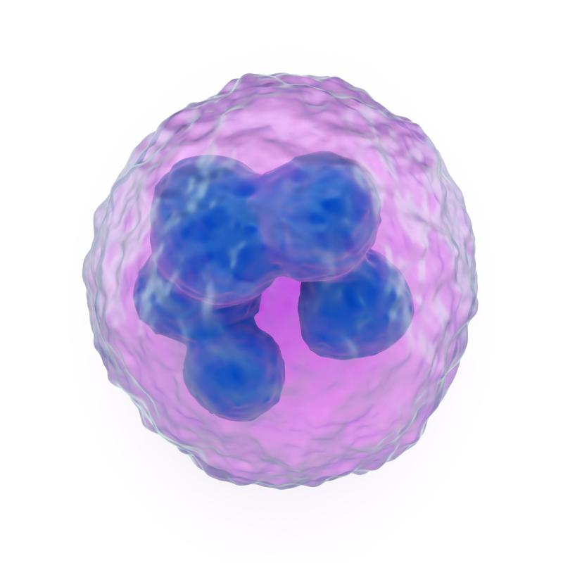 The Reticuloendothelial System is made up of phagocyctic cells which become monocytes, circulating in the blood.