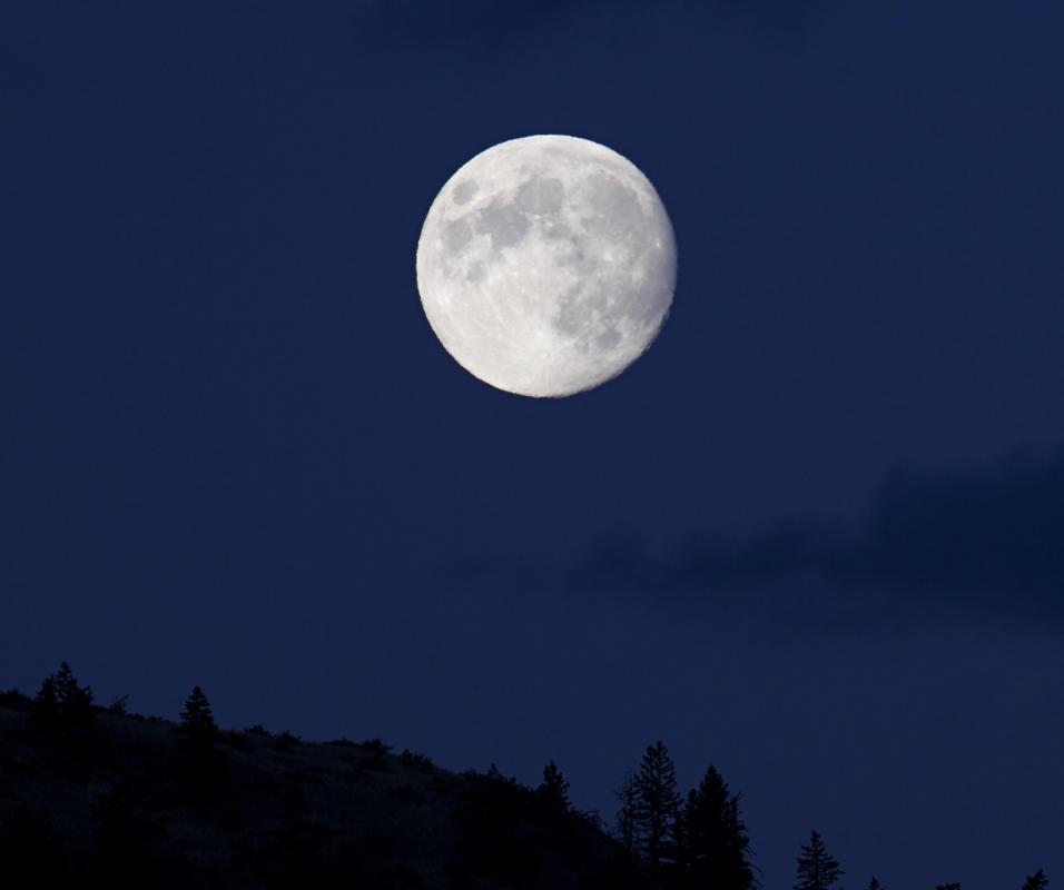 A parasite clean should be done around the full moon, when parasites are most active.