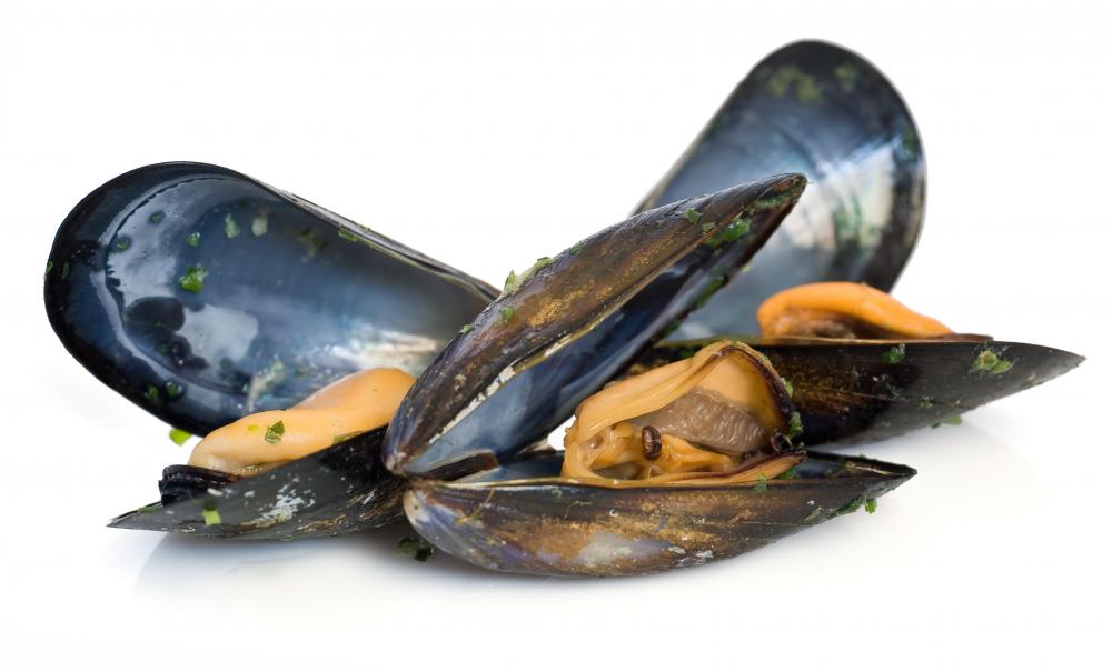 Mussels often cause gout.