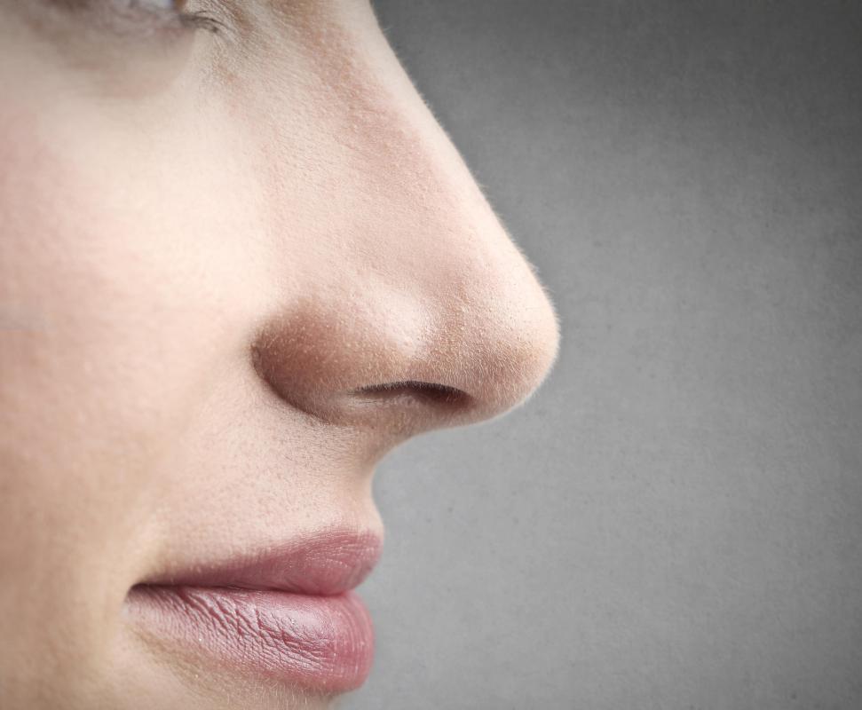 The interior lining of the nose is a mucous membrane.