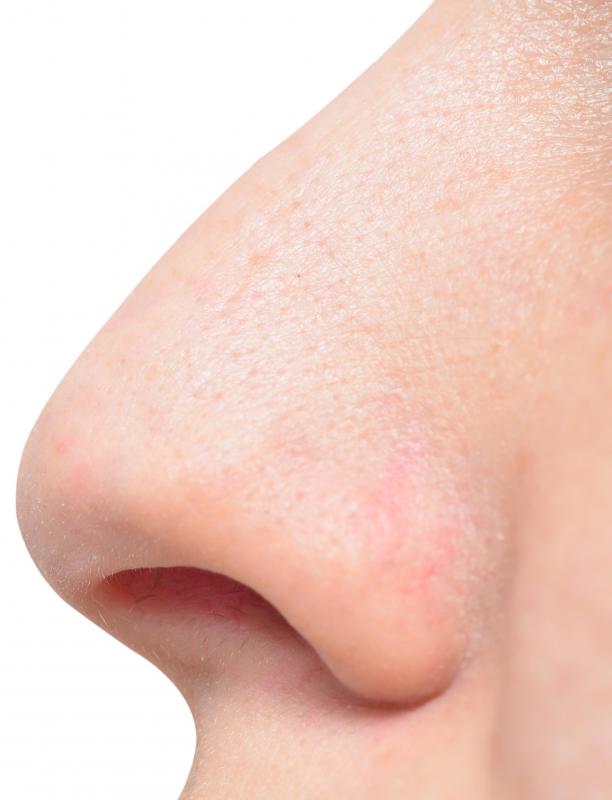 Nares is another name for the nostrils.