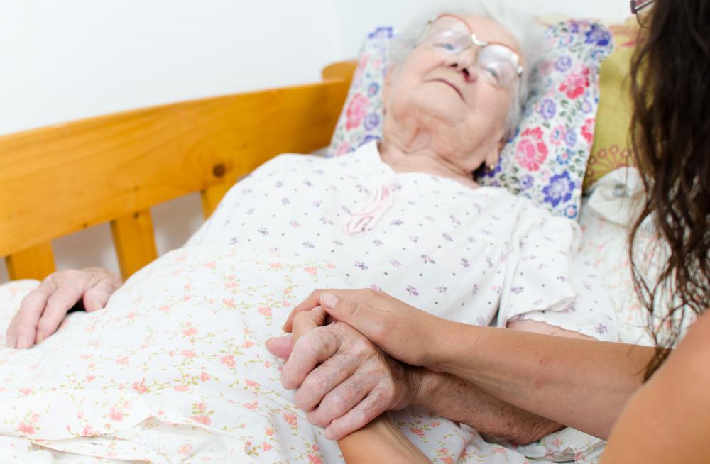 Nursing homes typically have volunteer programs where people can provide emotional care for residents.