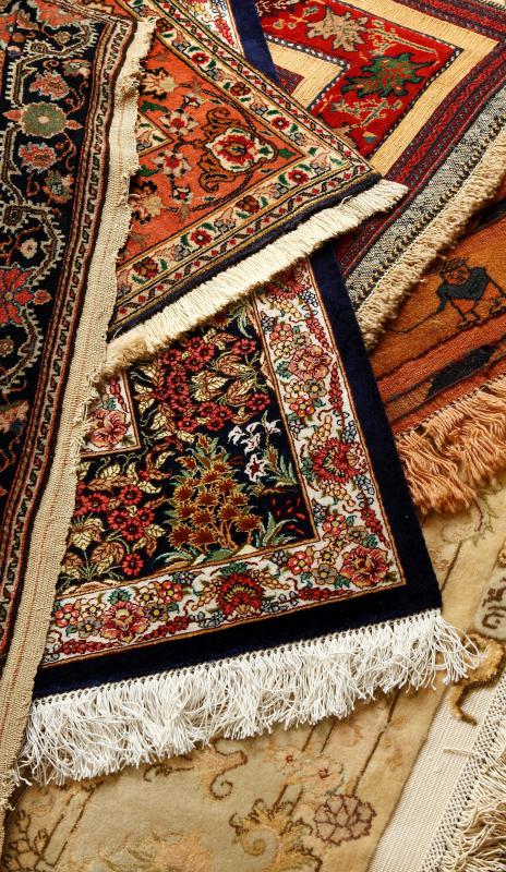 Area rugs may harbor mold.