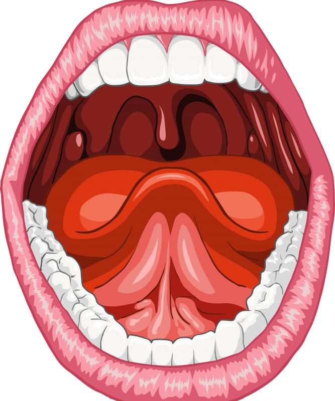 A human mouth with the frenum shown as a pink vertical line connecting the tongue to the mouth.