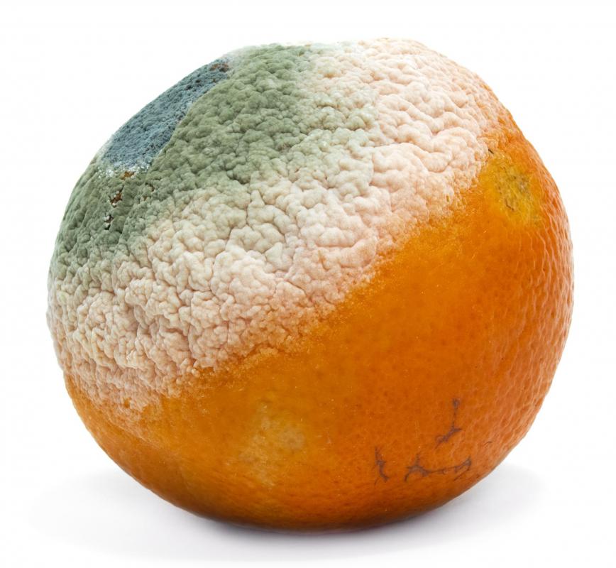 Mold can irritate asthma.
