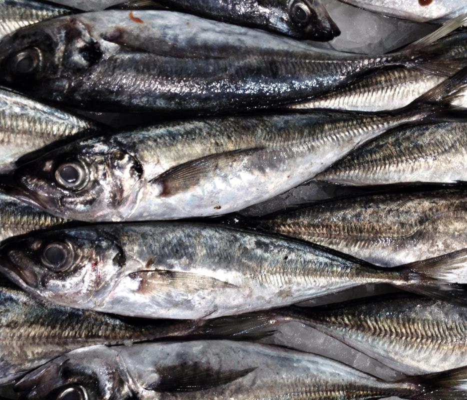 Sardines are an excellent source of omega-3 fatty acids.