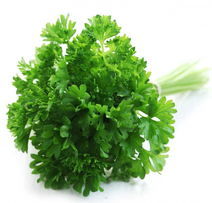 Parsley is high in apigenin.