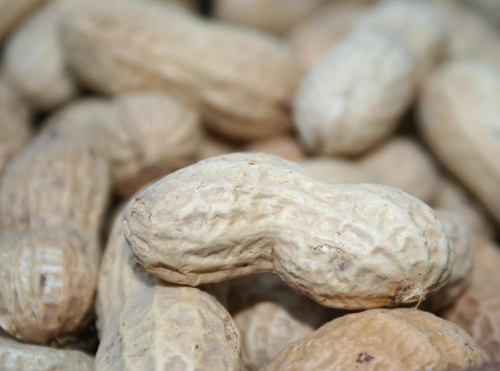 Peanuts contain phenylalanine, which the body uses to create l-tyrosine.