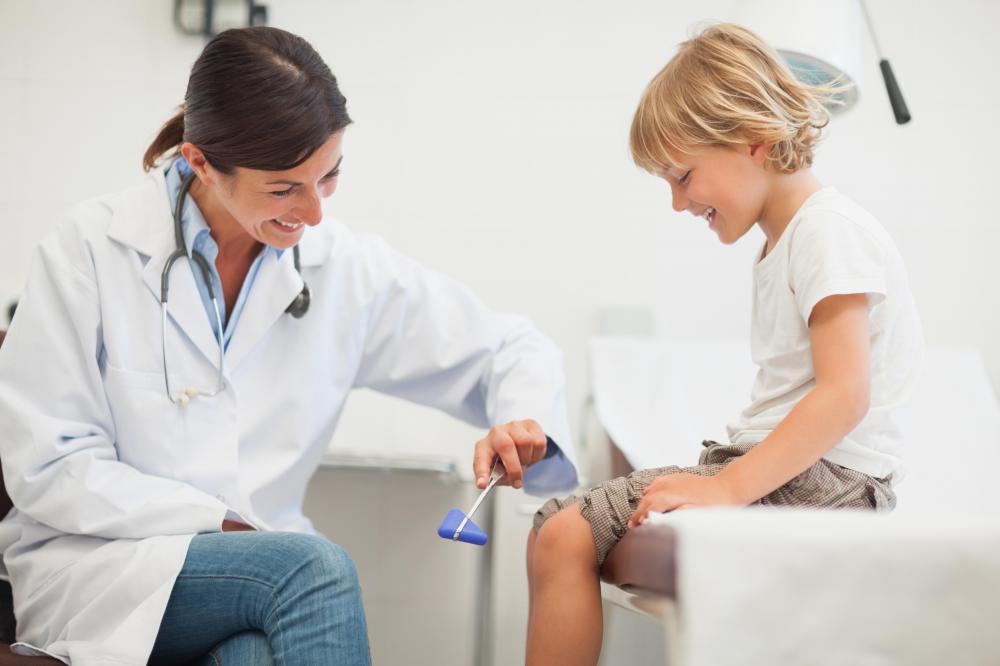 Tapping the petellar tendon with a reflex hammer will trigger the knee jerk reflex.
