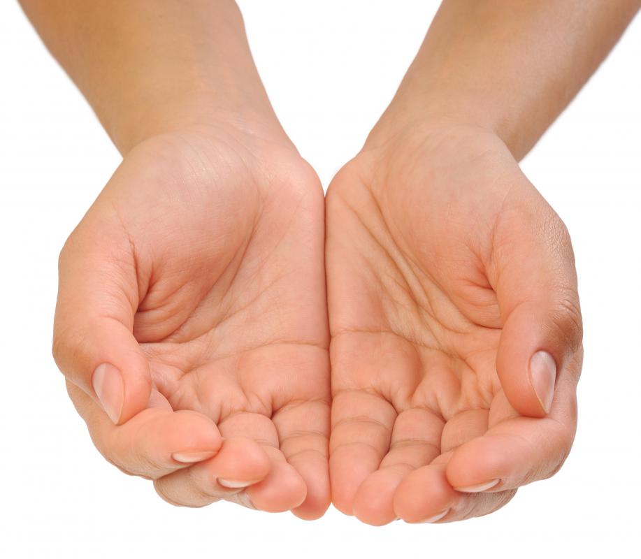 The palms of the hands contain eccrine glands.
