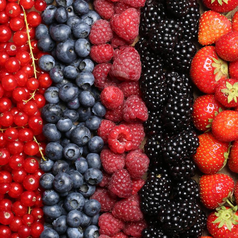 The less strict version of the brown rice diet allows fresh fruit and vegetables to be eaten over a seven-day period.