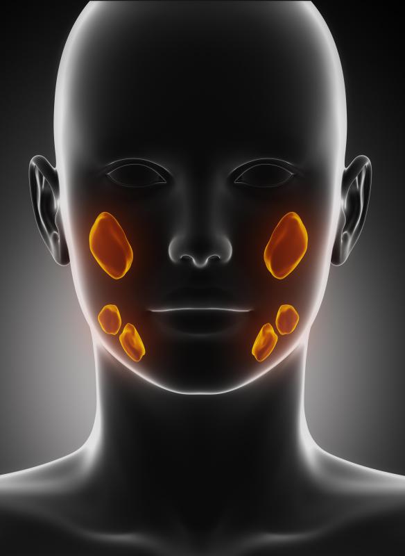 The submandibular glands are located on each side of the lower jaw.
