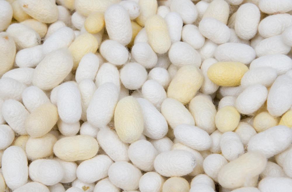 Silk cocoons. A vegan will generally not use any product made from animals, including silk.