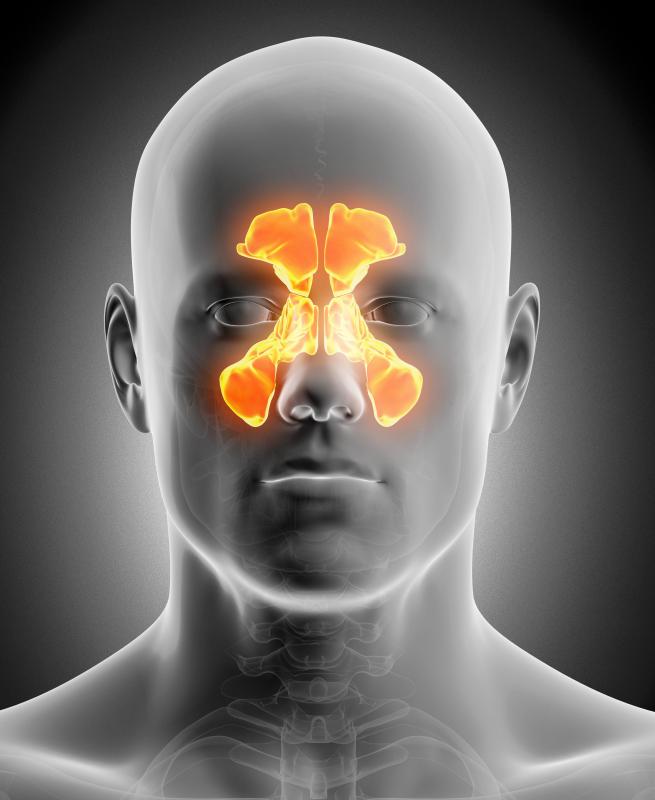Sinuses are spaces within the body that serve different functions.