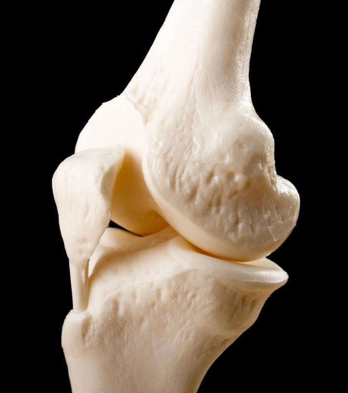 The knee joint and the bones it's composed of are part of the musculoskeletal system.