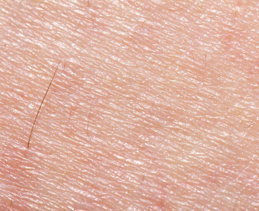 Skin is the most common and visible type of epithelial tissue.