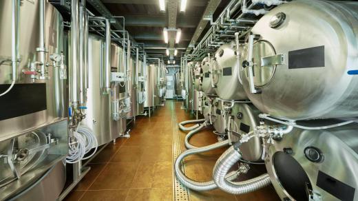 The process of glycolysis makes it possible to ferment beer, wine and other alcoholic beverages.