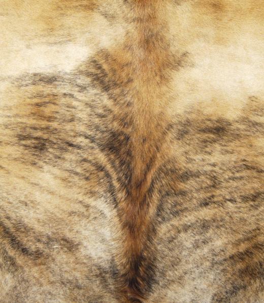 Animal hides were often used to prevent wounds from bleeding.