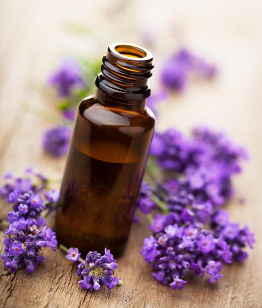 Lavender oil can treat burns, while lavandin oil can't.