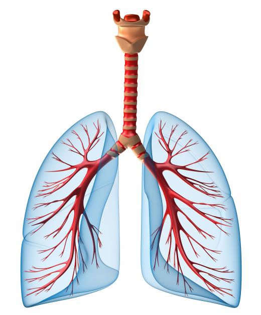 Tidal volume, or the lung's capacity to hold and process air, is measured by doctors trying to study or diagnose respiratory and other health problems.