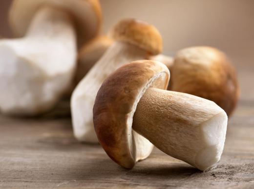 Most types of mushrooms are high in niacin, which helps elevate good cholesterol levels in the body.