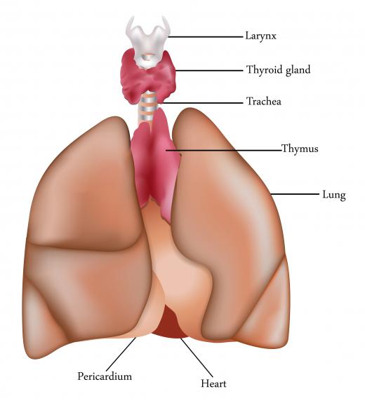 Puncturing the pericardial sac is a potential risk associated with a pacemaker.