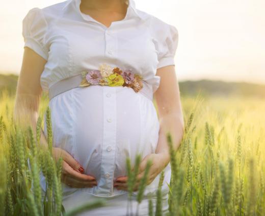 Speak with a physician before taking any type of herbal remedy during pregnancy.