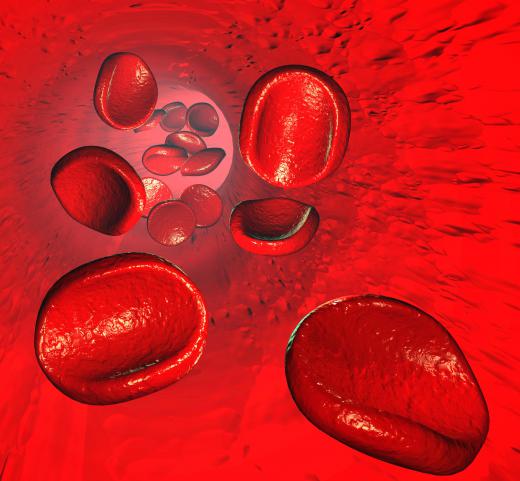 Red blood cells are needed to transport oxygen to the organs and tissue of the body.