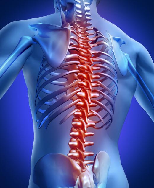 Spinal cord injuries may be associated with left ventricular atrophy.