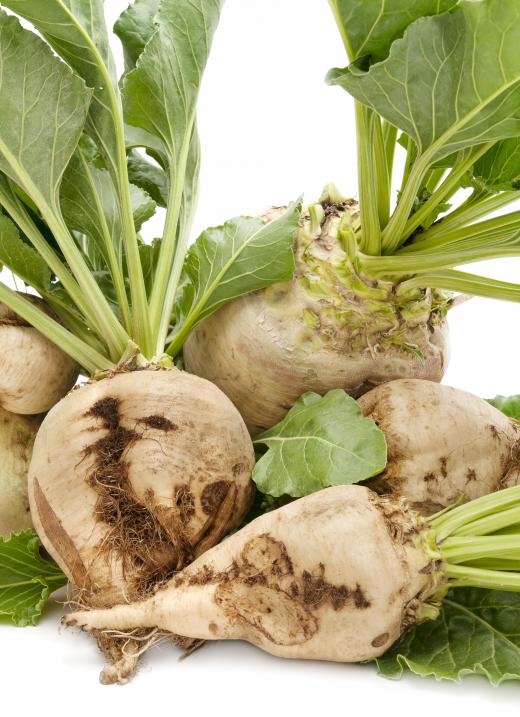 Galactose is less-sweet sugar that occurs naturally in sugar beets.