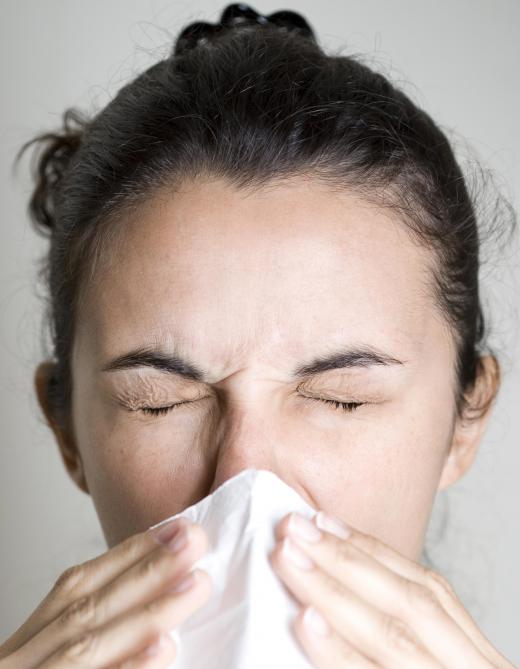 Yeast allergy symptoms include sneezing.