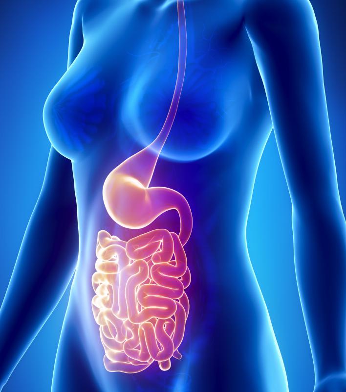 In normal digestion, stored bile is released into the small intestine.