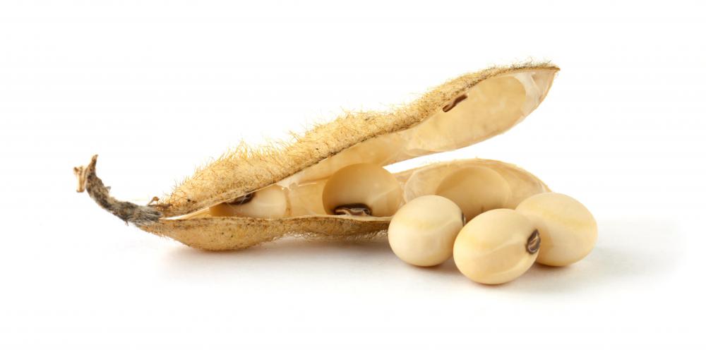 Soybeans are found in a variety of health food products.