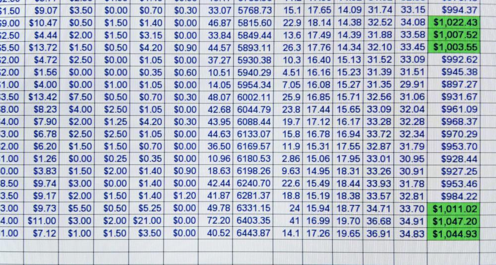 Spreadsheets can be used to track weight loss.