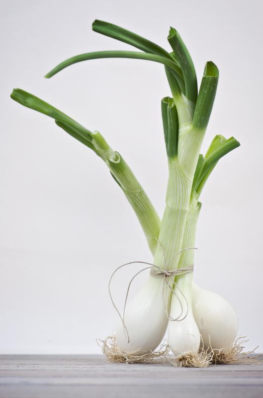 Onions may cause flatulence.