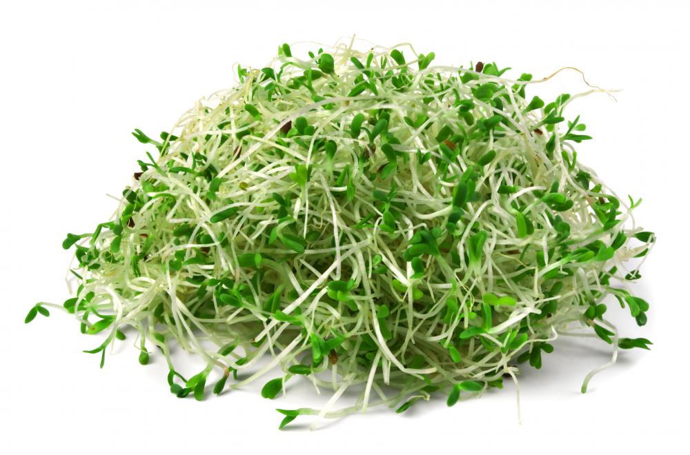 High fiber vegetables are recommended.