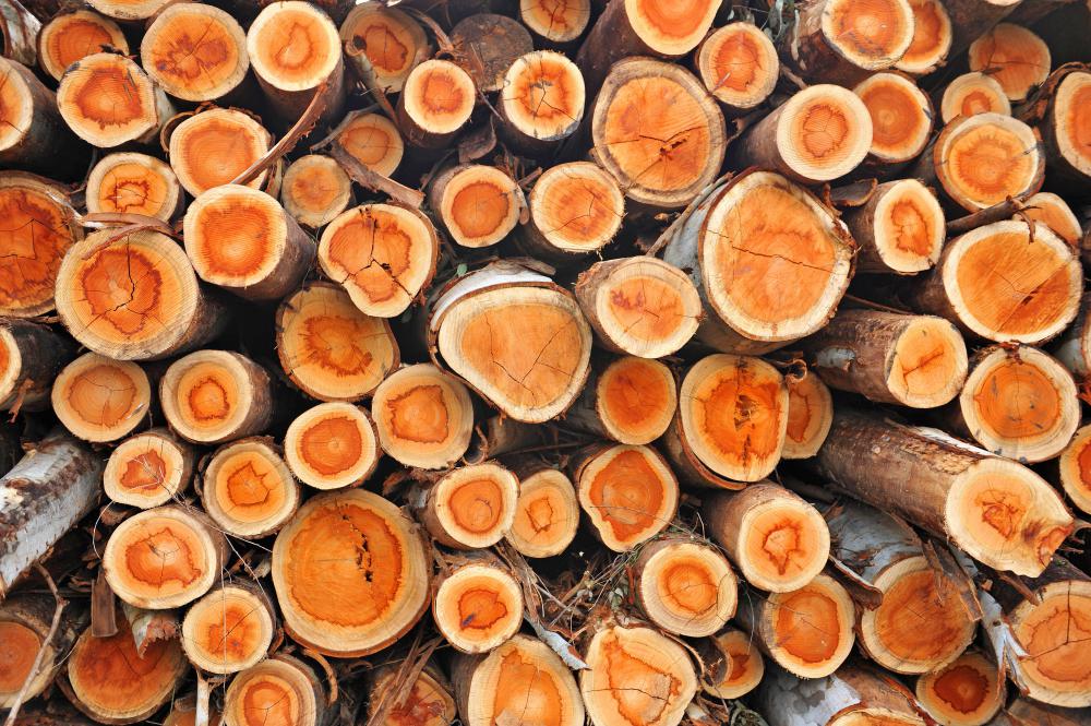 Avicel is created by chemically treating wood to extract cellulose, which is then purified.