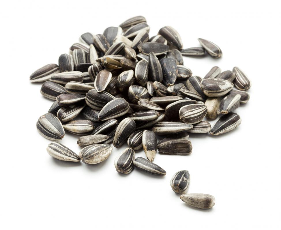 Sunflower seeds contain essential fatty acids.